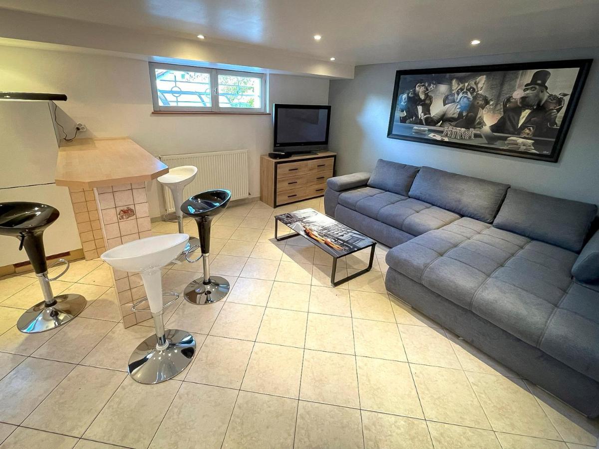 Villa 250M2 Avec Piscine Chauffee & Spa & Kota-Grill & Sauna Saint-Die-des-Vosges Экстерьер фото